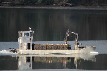 Boat ferrying cargo